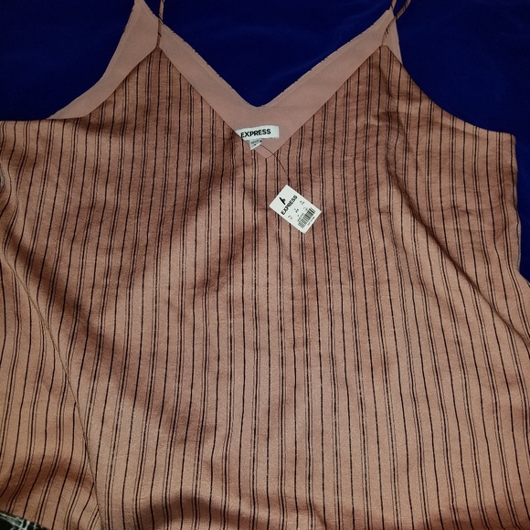 NWT Pink and Black striped Satin Cami by EXPRESS - Picture 4 of 4